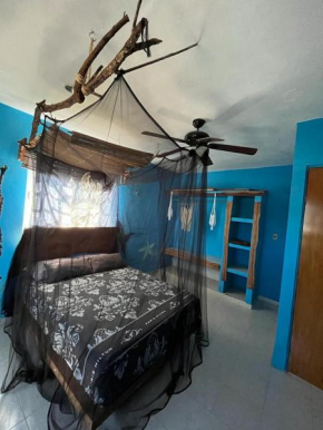 Selvática Holbox